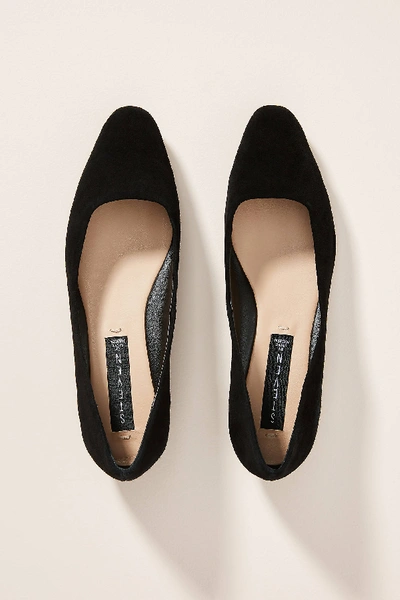 Steve Madden Steven By  Bantry Flats In Black