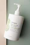 BRIOGEO BRIOGEO BE GENTLE, BE KIND AVOCADO & QUINOA CO-WASH,42638239