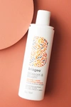 BRIOGEO BRIOGEO BLOSSOM & BLOOM GINSENG + BIOTIN VOLUMIZING SHAMPOO,48911184