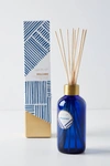 Capri Blue Reed Diffuser In Blue