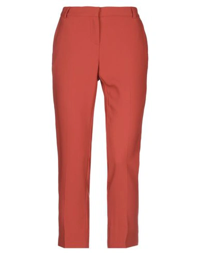 Ottod'ame Casual Pants In Brown