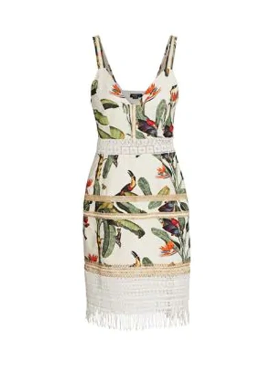 Patbo Tropical-print Lace-insert Mini Dress In White