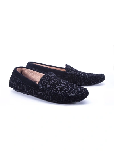 Robert Graham Hearst Driving Shoe In Black