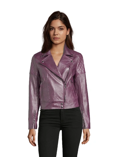 Robert Graham Monroe Metallic Leather Jacket In Magenta