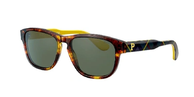 Polo Ralph Lauren Sunglasses, Ph4158 55 In Green