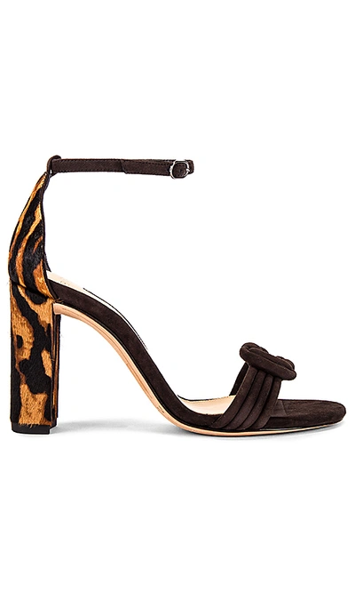 Alexandre Birman Vicky Tiger Calf Hair Sandals In Desta Di Moro & Walnut