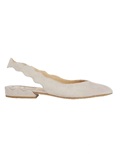 Chloé Ballerinas In Elephant Grey