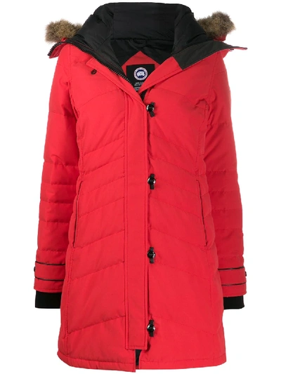 Canada Goose Padded Hooded Coat In 红色