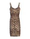 Dolce & Gabbana Leopard-print Cady Corset-style Midi Dress In Sand