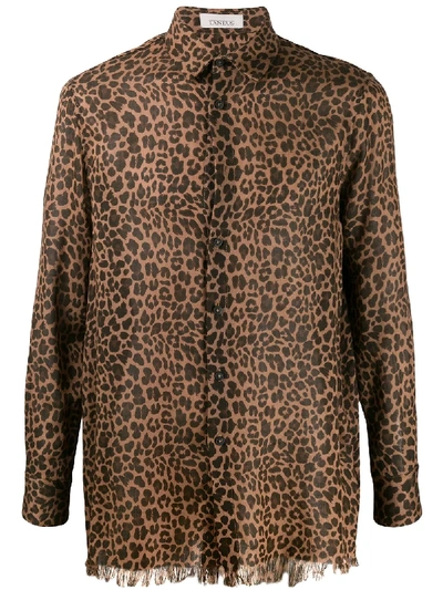 Laneus Leopard Print Shirt In Brown