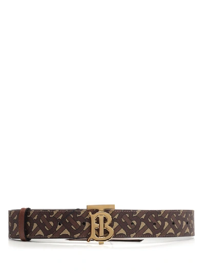 Burberry Monogram Stripe Belt In Brown