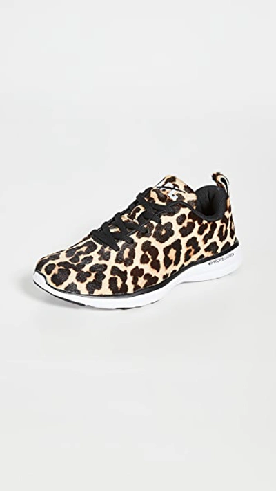 Apl Athletic Propulsion Labs Iconic Pro Sneakers In Cheetah