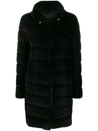 Herno Concealed Fastening Padded Coat In Black