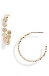 Jennifer Zeuner Small Margaux Hoop Earrings In Yellow Vermeil