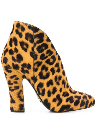 Prada Leopard Print Ankle Boots In 大地色