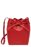 Mansur Gavriel Mini Leather Bucket Bag In Flamma
