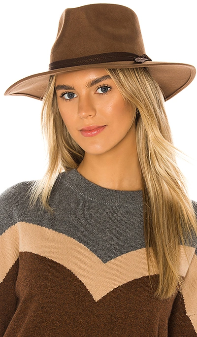 Ale By Alessandra Peyton Hat In Brown