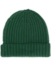 Danielapi Cable Knit Beanie In 绿色