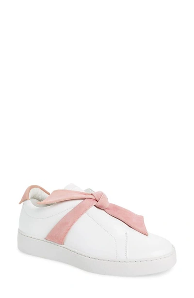 ALEXANDRE BIRMAN CLARITA BOW SNEAKER,B3522600010003