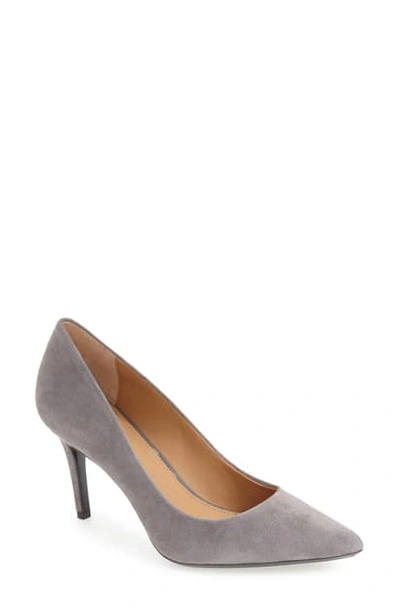 Calvin Klein 'gayle' Pointy Toe Pump In Shadow Grey Suede