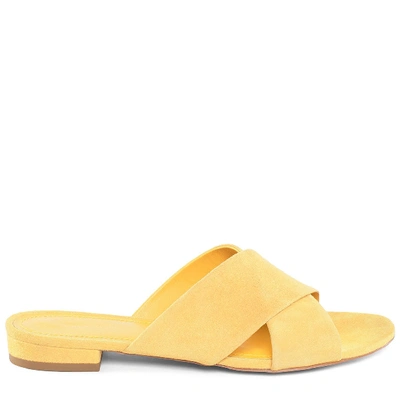 Mansur Gavriel Suede Flat Crossover Sandal In Sun