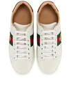 GUCCI New Ace Platform Sneakers,GUCC-WZ64