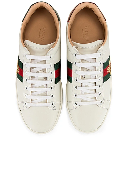 Gucci Ace Embroidered Leather Sneaker In White