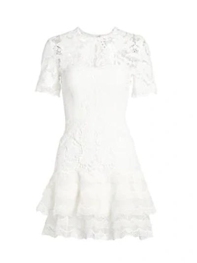 Simkhai Lace Applique Illusion Mini Dress In Black