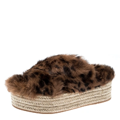 Pre-owned Miu Miu Brown Leopard Print Fur Cross Strap Espadrille Platform Slides Size 38.5