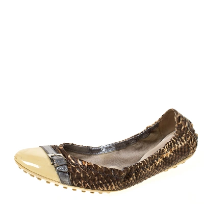 Pre-owned Tod's Brown/cream Python And Patent Leather Cap Toe Buckle Scrunch Ballet Flats Size 38