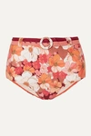 Peony Net Sustain Belted Floral-print Bikini Briefs In Red