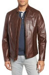 Schott Cafe Racer Waxy Cowhide Leather Jacket In Brown