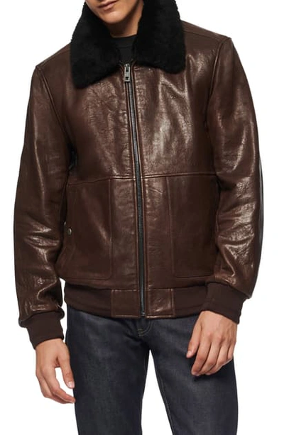 Andrew Marc Cuthbert Leather Bomber Jacket With Removable Genuine Shearling Collar In Espresso