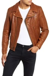 Schott Leather Moto Jacket In Brown