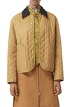 BURBERRY DRANEFELD QUILTED JACKET,8007019