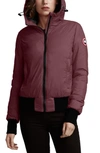 Canada Goose Dore Down Hooded Jacket In Elderberry