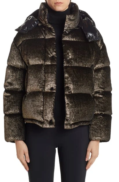 Moncler Caille Glitter Velvet Quilted Down Puffer Coat In Gold