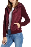 Canada Goose Hybridge 625 Fill Power Down Jacket In Elderberry