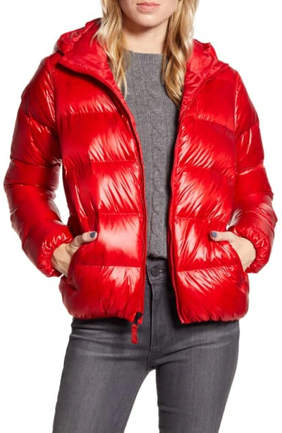 Patagonia Raven Rocks Durable Water Repellent Hooded Down Jacket In Rincon Red