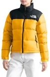 Tnf Yellow