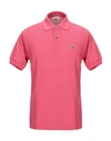 Lacoste Polo Shirt In Pink