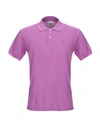 Lacoste Polo Shirt In Purple