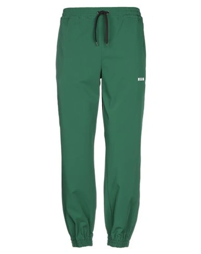 Msgm Casual Pants In Green