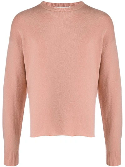 Extreme Cashmere Crew Neck Jumper In Pink