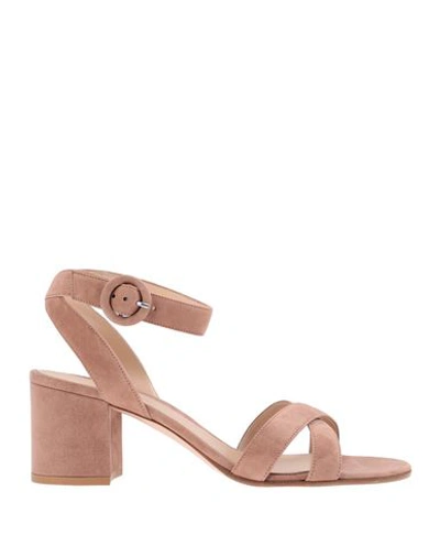 Gianvito Rossi Sandals In Pink