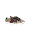 Gucci Ace Gg Supreme Canvas Sneakers In Brown