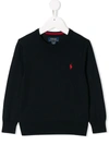 Ralph Lauren Kids' Embroidered Logo Jumper In Blue