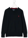 Polo Ralph Lauren Embroidered Logo Jumper In Blue