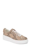 Paul Green Women's Ally Snake-embossed Platform Low-top Sneakers In Truffel Earth Combo