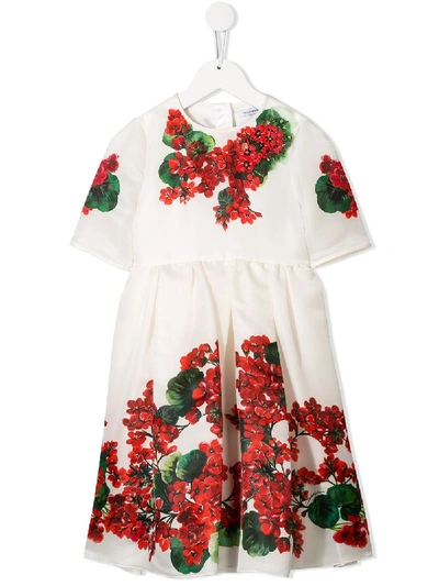 Dolce & Gabbana Kids' Embroidered Floral Dress In White